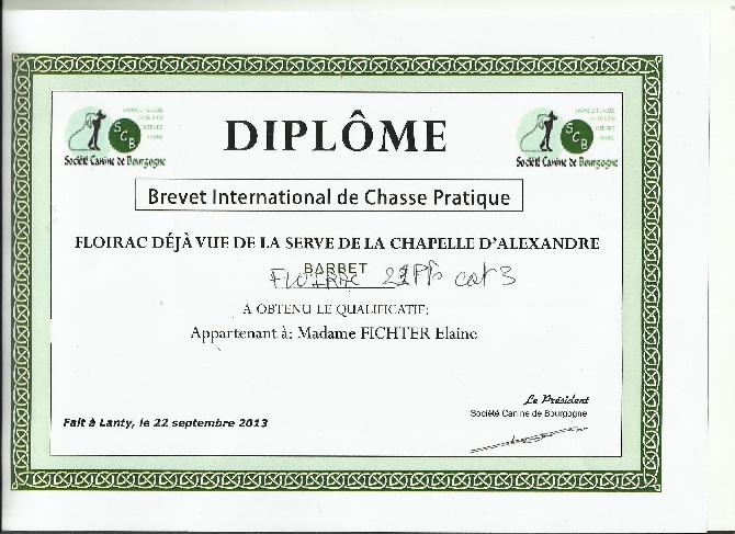 de la serve de la chapelle d'Alexandre - Barbets de chasse: BICP 2013