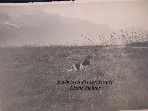 Photos anciennes